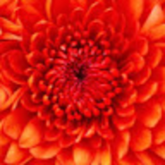 kathygall51